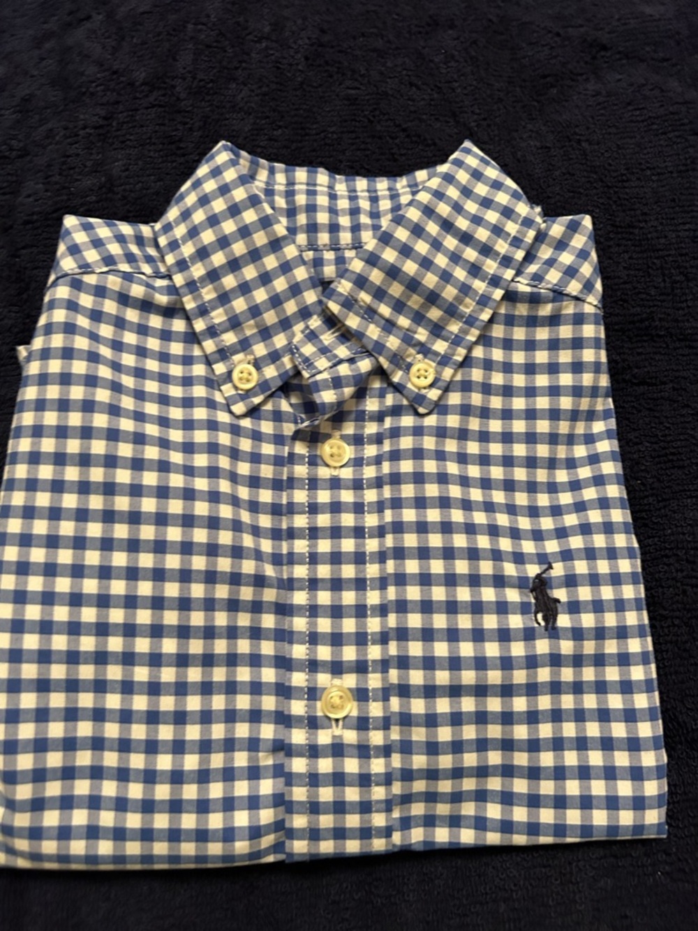 Polo by Ralph Lauren Blue & White Gingham Button-Down Shirt